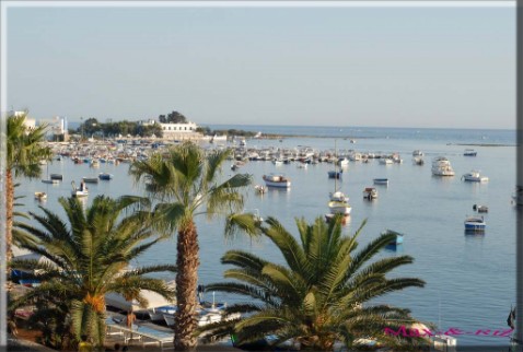 PORTO CESAREO